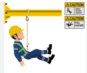 Harnesses & Safety Belts